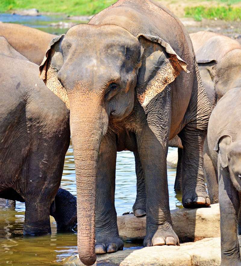 7 Nights 8 Days Tour Programme